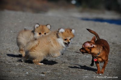 Apr5_10_608.jpg