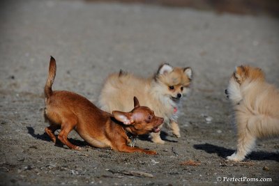 Apr5_10_618.jpg