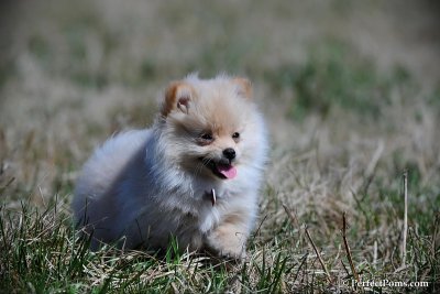Apr5_10_017.jpg