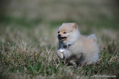 Apr5_10_034.jpg