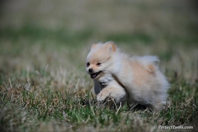 Apr5_10_035.jpg