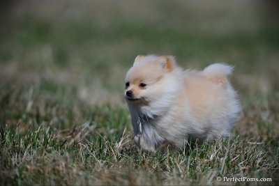 Apr5_10_036.jpg