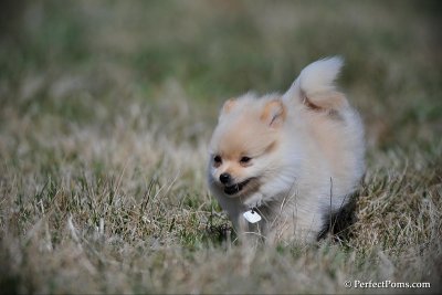 Apr5_10_039.jpg