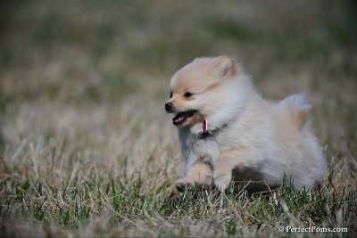 Apr5_10_040.jpg