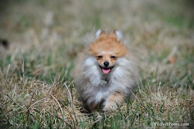 Apr5_10_066.jpg