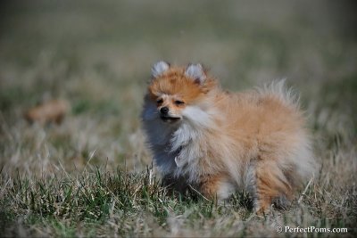 Apr5_10_089.jpg