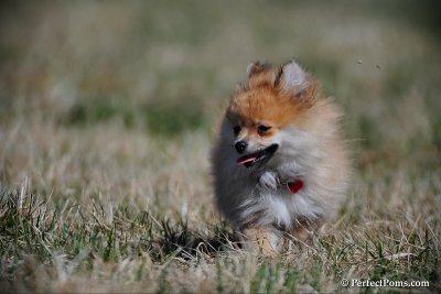 Apr5_10_078.jpg