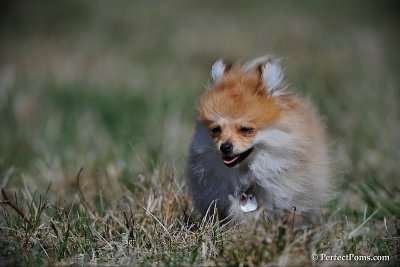 Apr5_10_093.jpg
