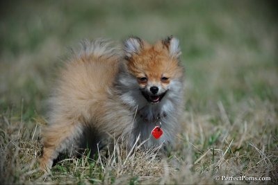 Apr5_10_096.jpg