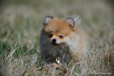 Apr5_10_108.jpg