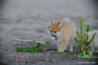 Apr11_10_068.jpg