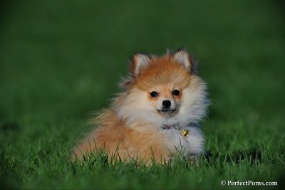 Apr18_10_316.jpg