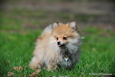 Apr21_10_603.jpg