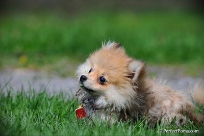 Apr21_10_230.JPG