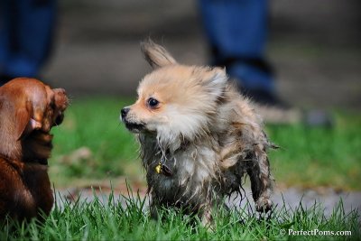 Apr21_10_141.JPG