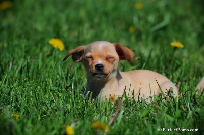 May5_10_031.JPG