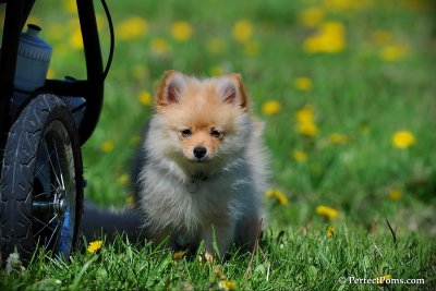 May5_10_048.jpg