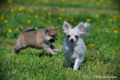 May5_10_079.jpg