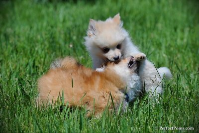 June6_10_089.jpg