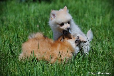June6_10_090.jpg
