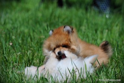 June6_10_091.jpg