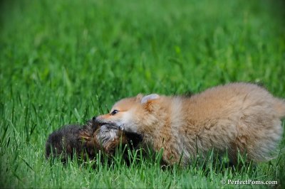 June6_10_108.JPG