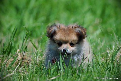 June6_10_163.jpg