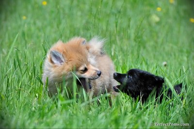 June6_10_168.jpg