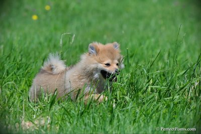 June6_10_172.jpg