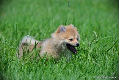 June6_10_173.jpg