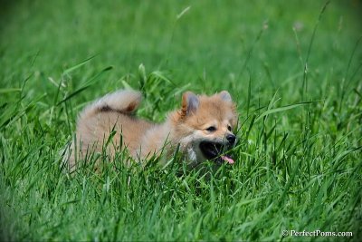 June6_10_177.jpg