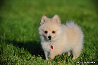 June8_10_004.jpg