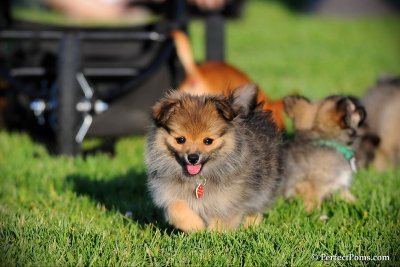 June8_10_051.jpg