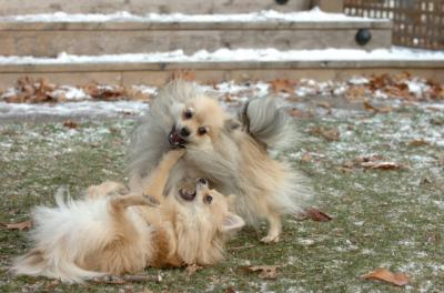 Dec3_05_628.JPG