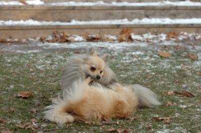 Dec3_05_631.JPG
