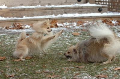 Dec3_05_634.JPG