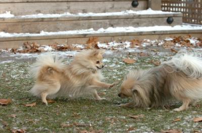 Dec3_05_635.JPG