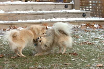 Dec3_05_636.JPG