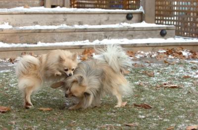 Dec3_05_637.JPG