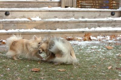 Dec3_05_638.JPG