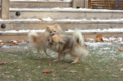 Dec3_05_639.JPG