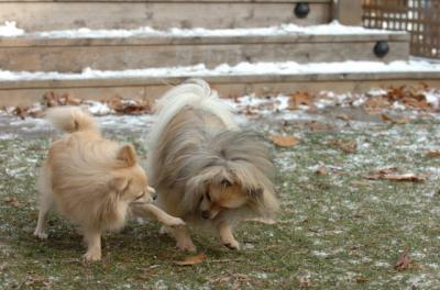 Dec3_05_648.JPG