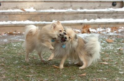 Dec3_05_650.JPG