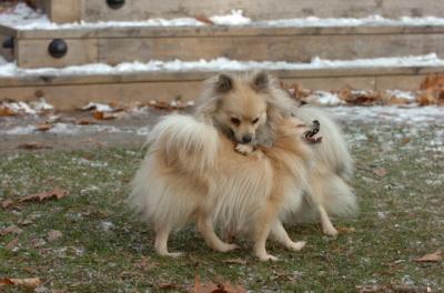 Dec3_05_657.JPG