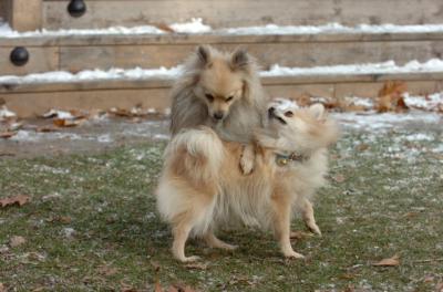 Dec3_05_658.JPG