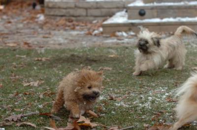 Dec3_05_823.JPG