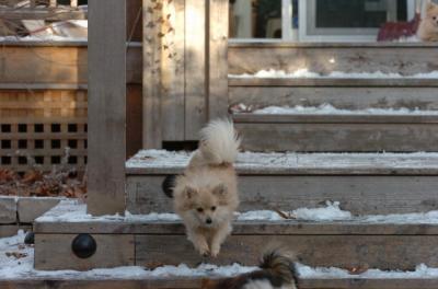 Dec3_05_837.JPG
