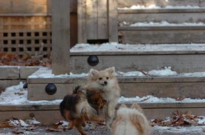 Dec3_05_838.JPG