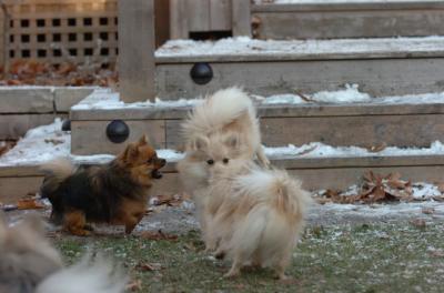 Dec3_05_840.JPG