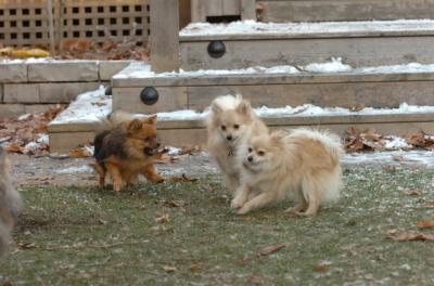 Dec3_05_841.JPG